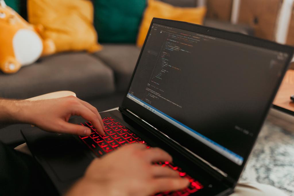 VS Code extensions panel